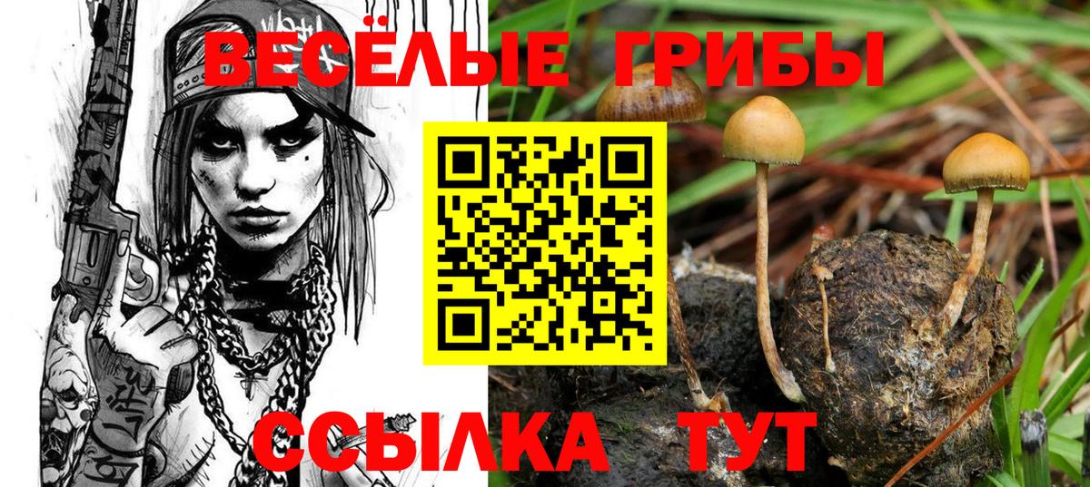 цены   Вход с VPN  Тюмень  Галлюциногенные грибы Cubensis 